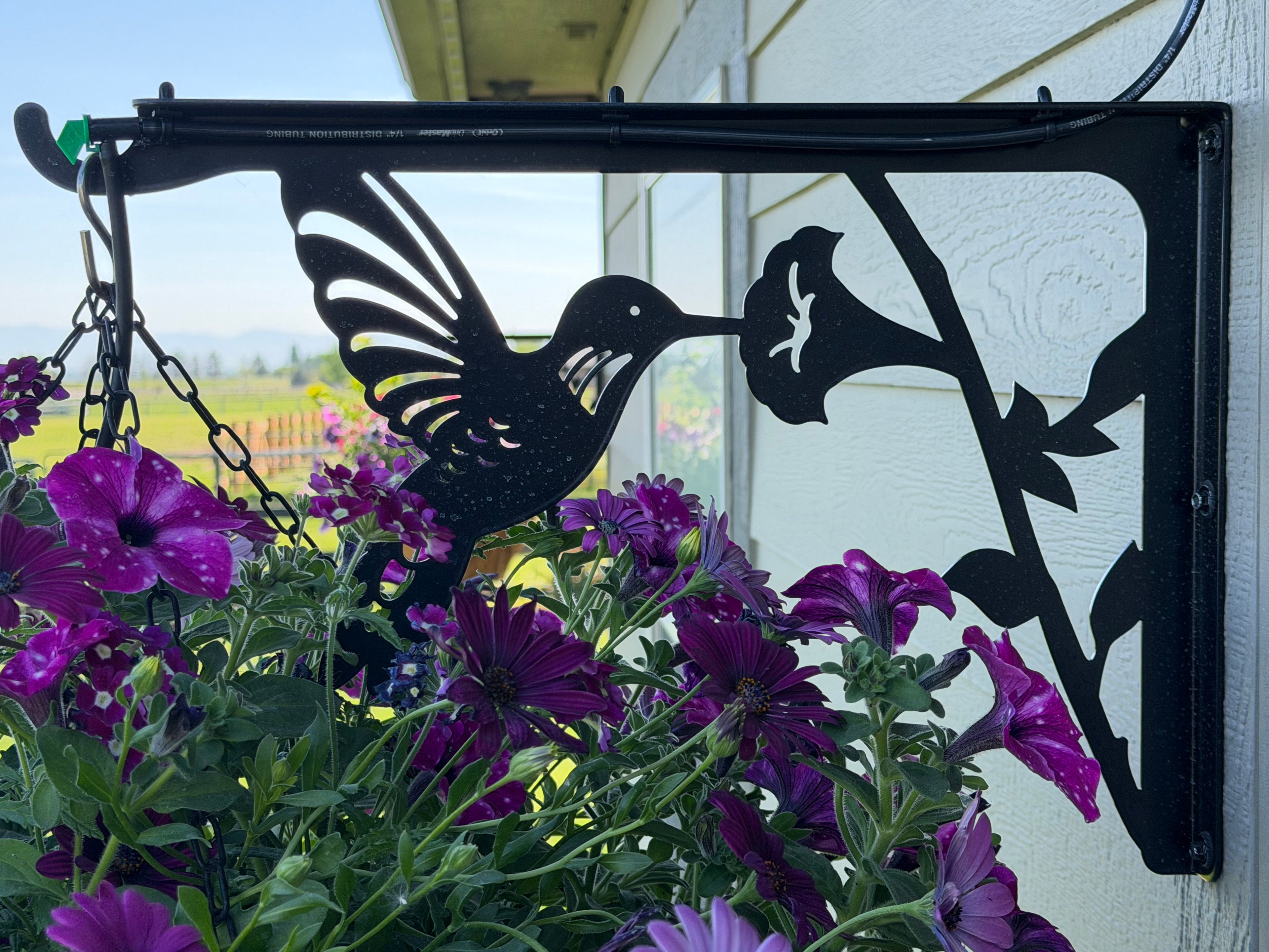 18" Hummingbird Hanging Basket Hanger