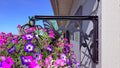 18" Hummingbird Hanging Basket Hanger